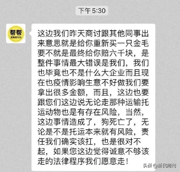 金毛空运被热死事件还原,空运变陆运金毛事件