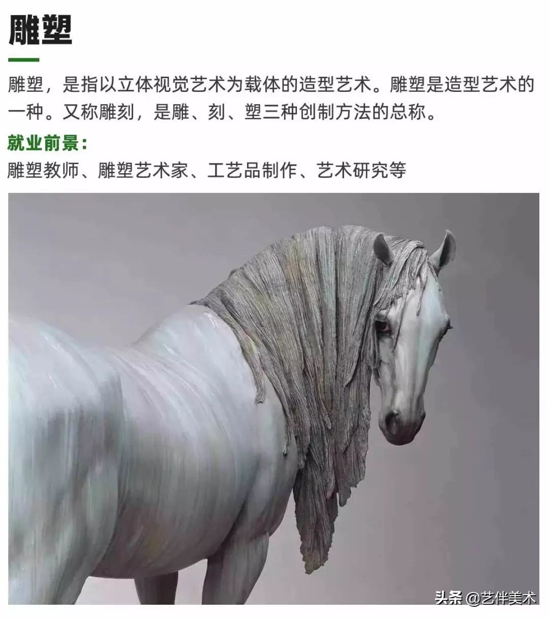 栾树画室官网,栾树画室怎么样