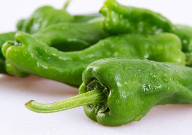 日光温室辣椒怎么做,10秒教会你如何种出高产的好辣椒