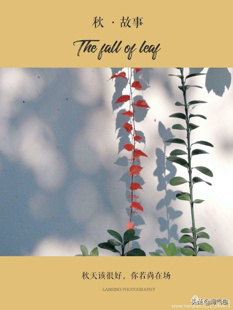 秋分愿生活恰如其分,人生恰如秋分生活恰如其分