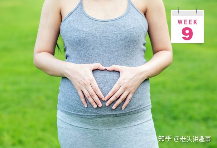 孕1-40周胎儿腹围发育标准,孕1-40周胎儿发育过程图英语