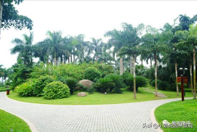 住宅小区植物配置方案,植物种植小技巧一览表图