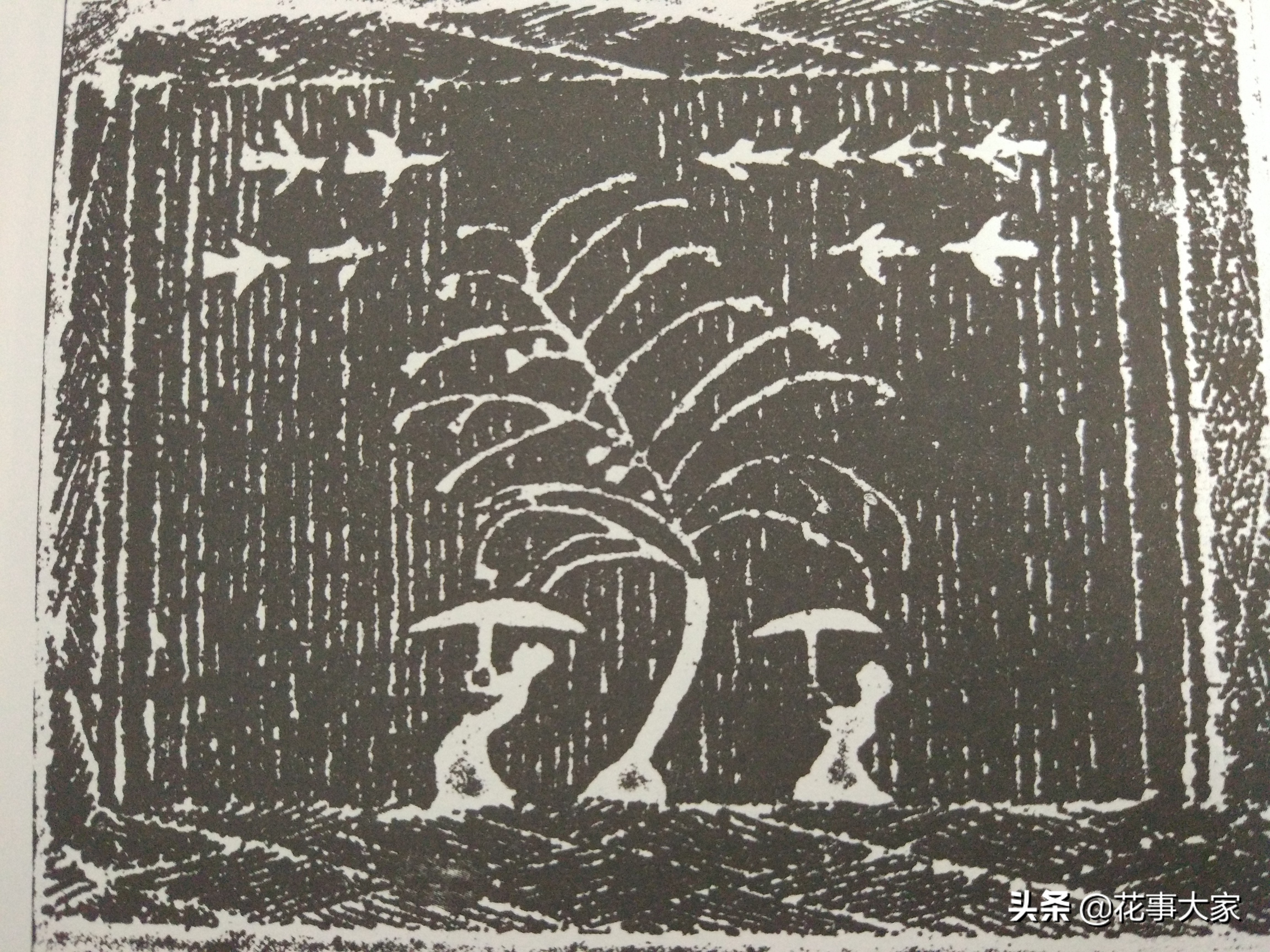 插花生活美学文学文人植物花艺雅道