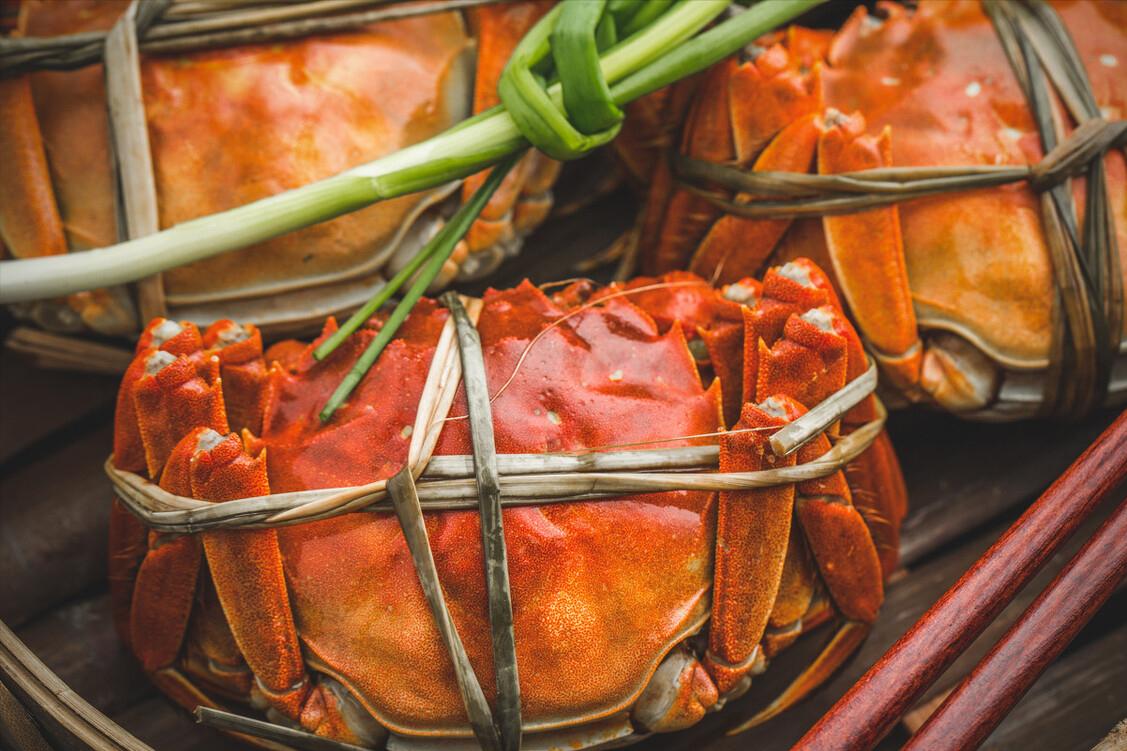 螃蟹的正确吃法公蟹母蟹如何区分,螃蟹选公蟹还是母蟹好