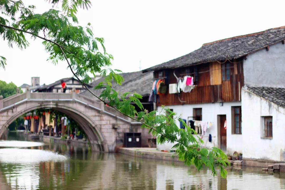 一生必背100首唐诗宋诗,一生必背的50首宋词