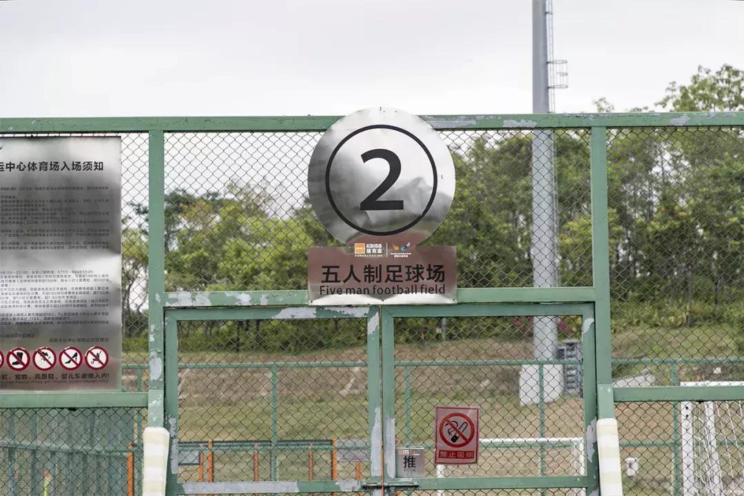 龙岗地标大厦,龙岗未来地标建筑在哪个地段