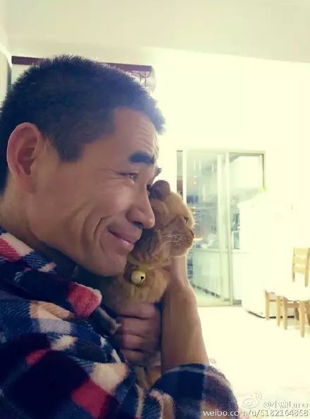 冲动下养猫，你和你的猫现在是怎样的生活？