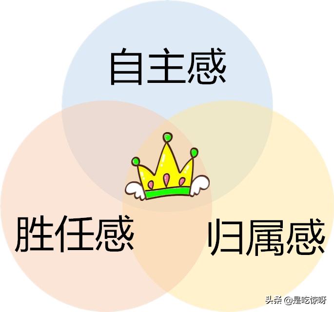 国服停服一天有什么游戏好玩,一天停服的游戏有哪些