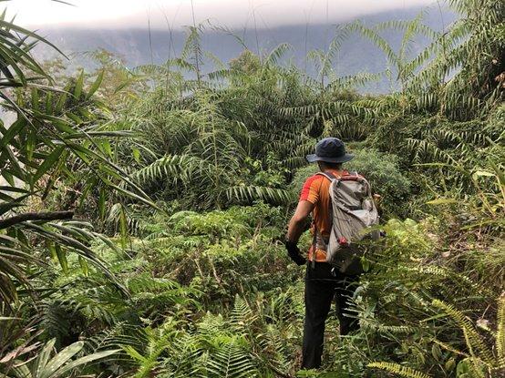 纵横山野的最佳伙伴,德国户外品牌TATONKA塔通卡户外背包实测