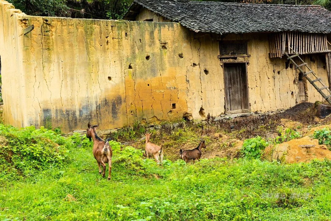 徒步穿越秦岭无人区,徒步穿越喀斯特森林