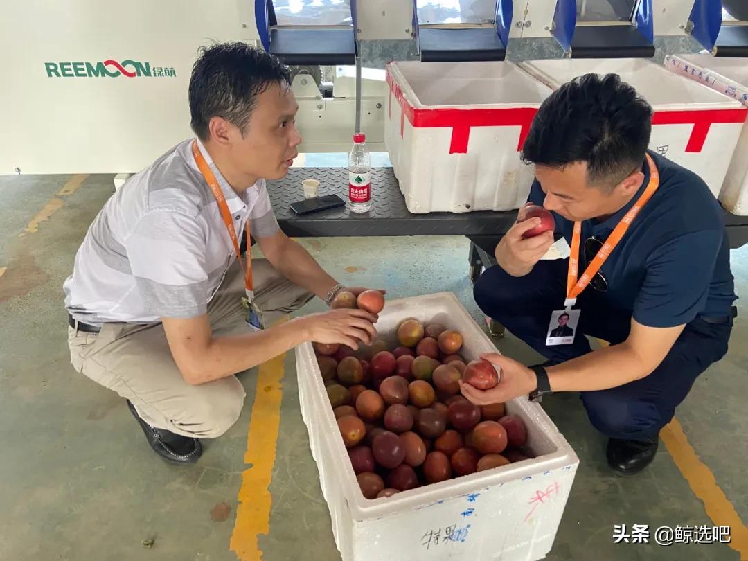 持续增值赋能，鲸选吧溯源助农打造“富贵果”