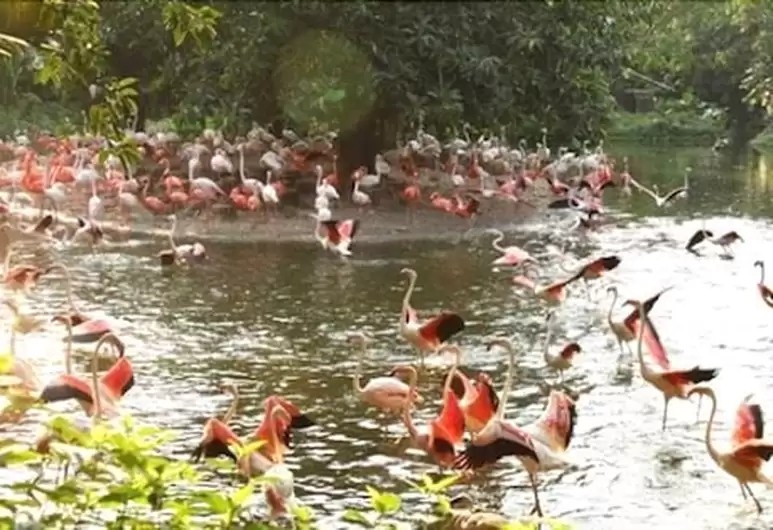 广州长隆酒店推荐,广州长隆酒店推荐性价比高