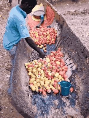 非洲人到底有多野？