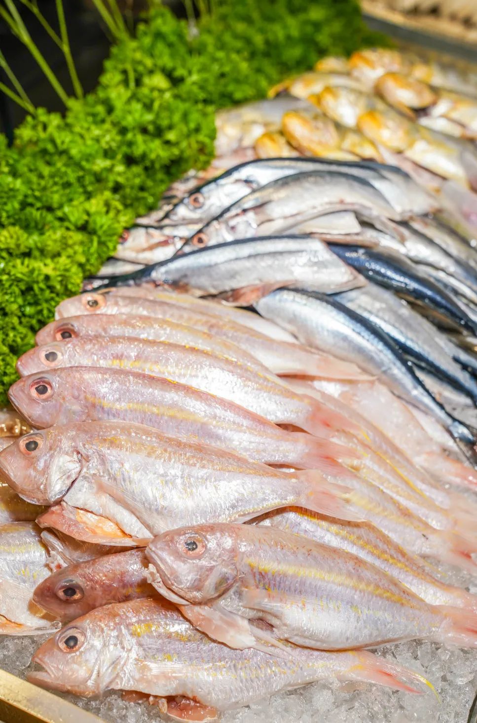 安格斯生蚝自助餐,深圳光明美爵酒店牛排自助餐