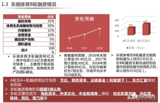 贾跃亭布局商业模式,乐视贾跃亭关于融资说过的话