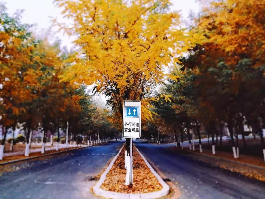 辽宁中医药大学杏林学院有独卫吗,辽宁中医药大学杏林学院属于3+2吗