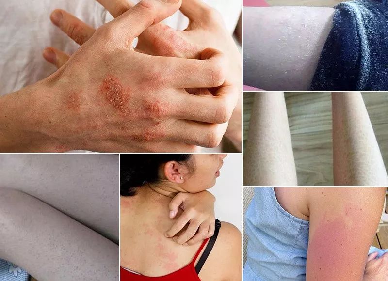 雅顿身体乳持久留香,伊丽莎白雅顿白茶身体乳留香