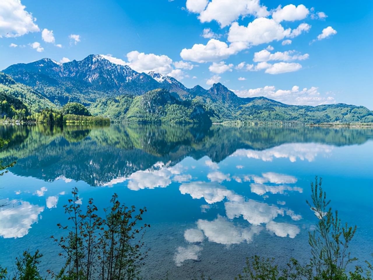 会计实操智能财税,财务管理智能财税是什么