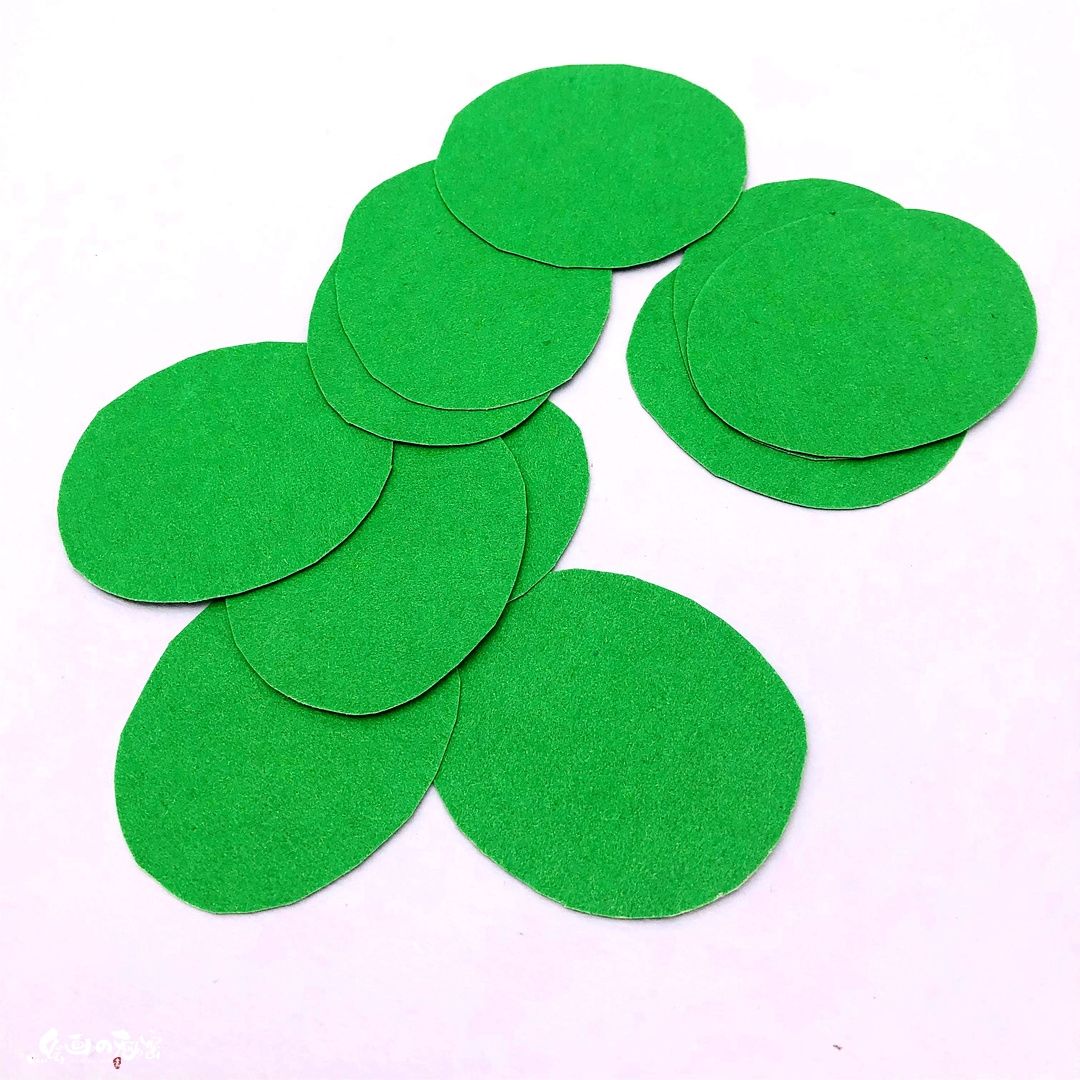 小刺猬植物名称是什么,跟刺猬一样的植物