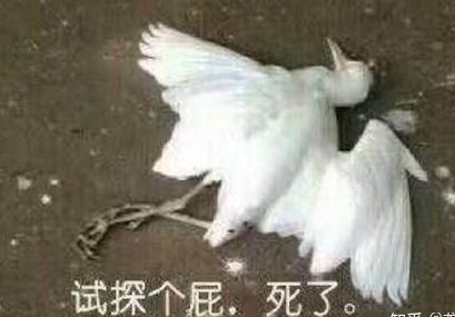 DG因辱华、骂中国是“屎”被*制抵**后，竟起诉要3000万赔偿？