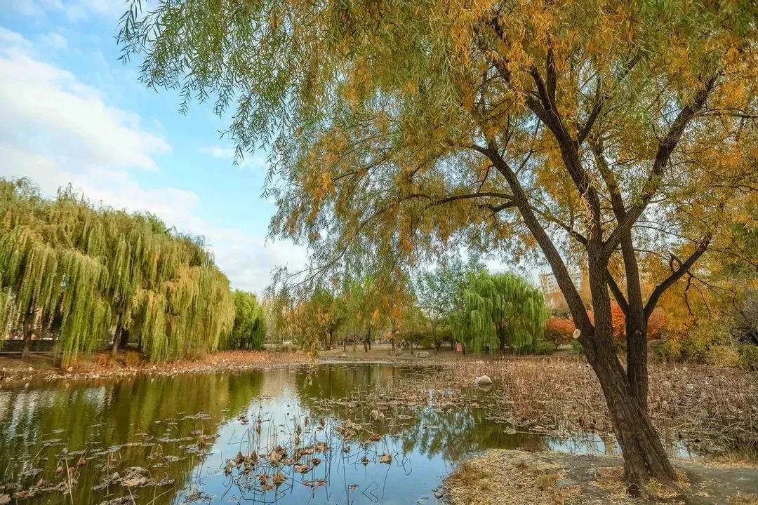 辽宁省重点大学沈阳航空航天,沈阳航空航天大学在辽宁省提前批