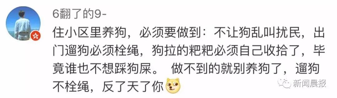 遛狗不牵绳算野狗吗,遛狗不牵狗绳咬伤别人怎么办