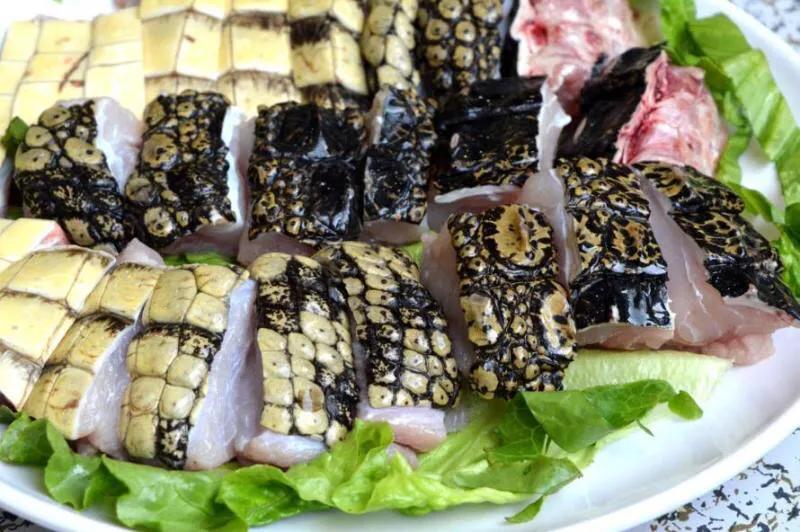人工鳄鱼肉能吃吗,野生鳄鱼肉什么口感