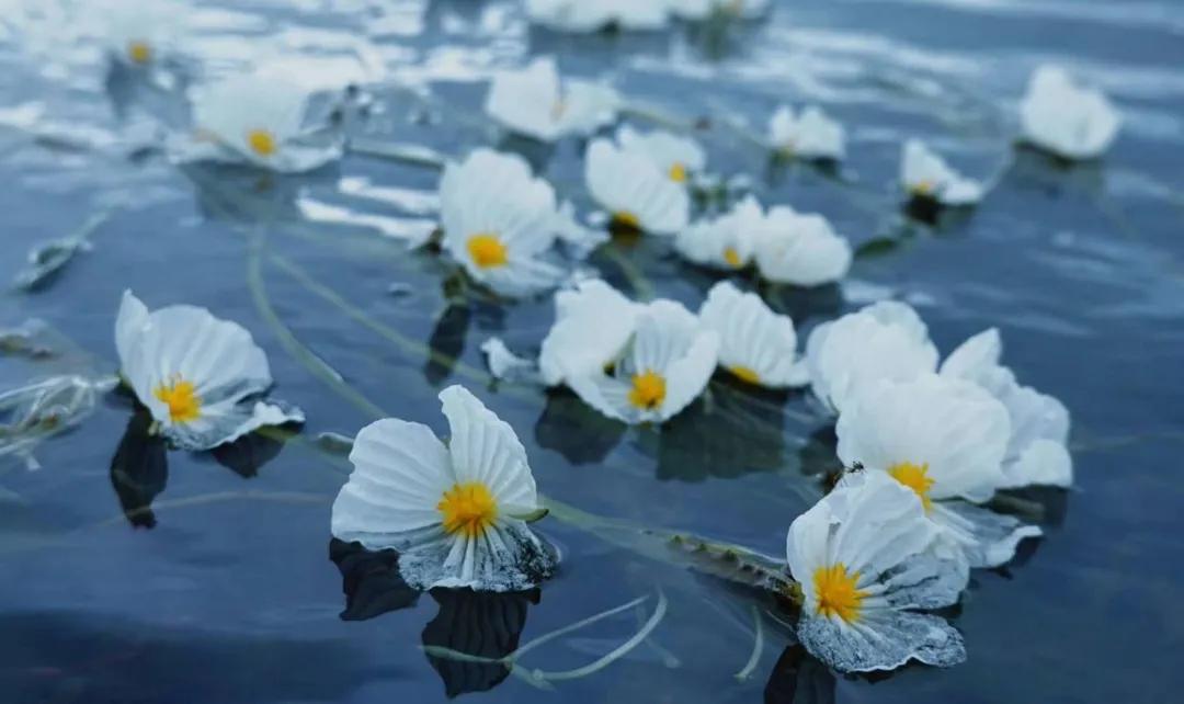 7月泸沽湖有哪些景点,泸沽湖有你要的诗和远方