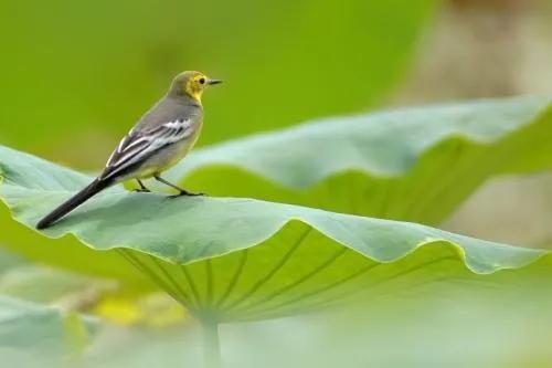 为什么定的目标总是失败,如何确定自己前进的目标