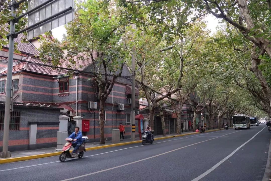 魔都这些秋日网红马路，不仅好看还很好吃