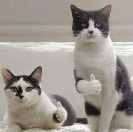 小米净水器h1000g深度评测,好的净水器到底有用吗