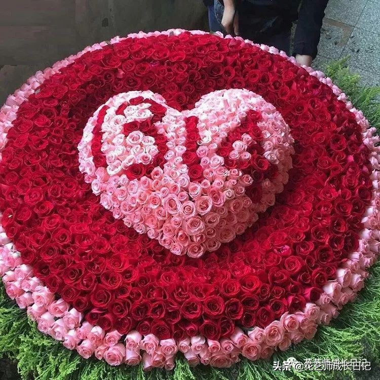 玫瑰花从1到99朵的花语是什么,1到19朵玫瑰花语是什么