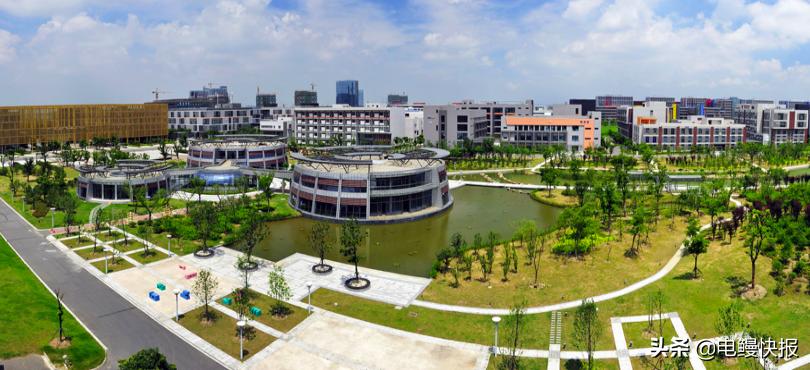 浩欧博股权激励业绩增长,浩欧博5年成长性分析