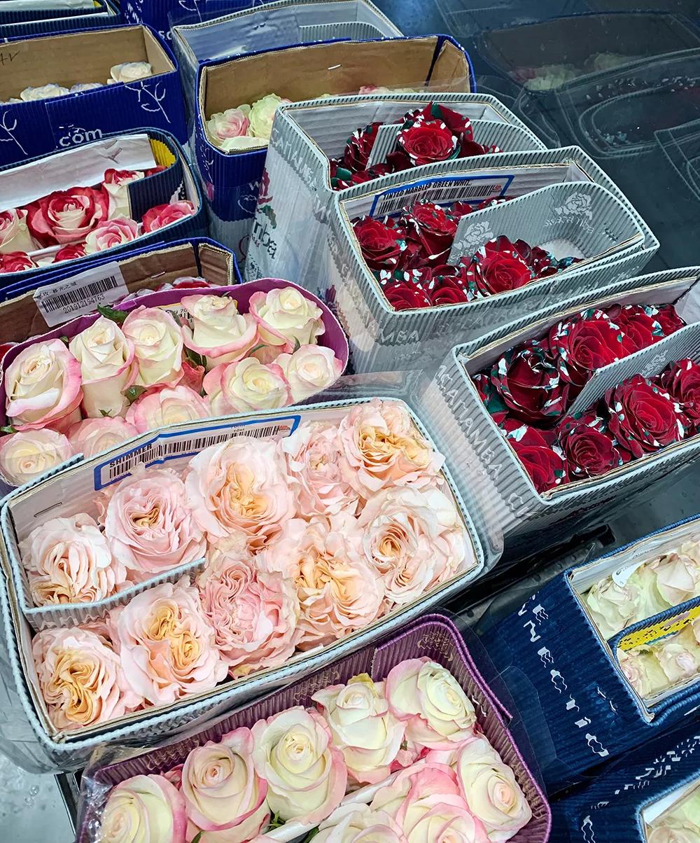 网上买东西怎么交智商税,网上买的智商税产品