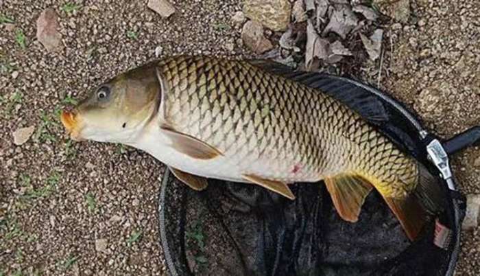 买鱼线不要走误区，不要听奸商的导购