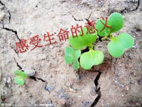 铅笔有什么不常见的用处,铅笔的五个用途