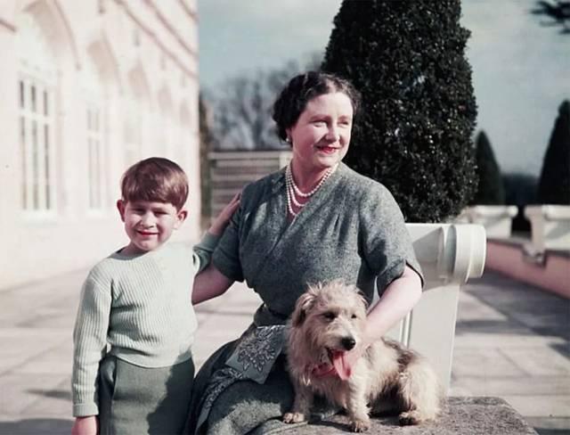 戴安娜对查尔斯的报复,戴安娜和查尔斯不和的原因