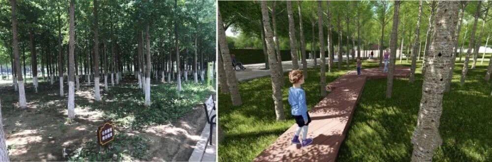 昌平公园二期最新消息,北京昌平滨河公园足球场开了吗