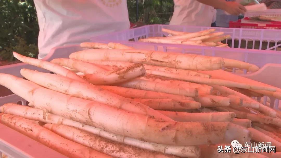 “云动力”让漳州东山这一产业焕发新活力