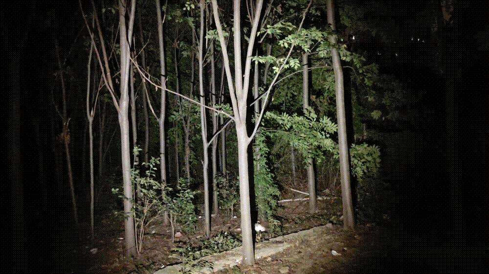 鍦ㄨ矾涓奿5鎵嬬數娴嬭瘎,鍦ㄨ矾涓奿5鎵嬬數璇勬祴