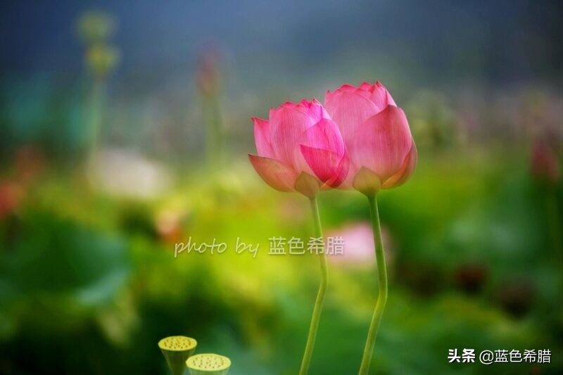 佳能5d370-200人像拍摄参数,佳能5d3拍出的照片带着详细参数