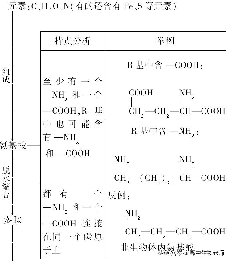 高中生物蛋白质知识点讲解,高中生物必修一蛋白质知识框架图