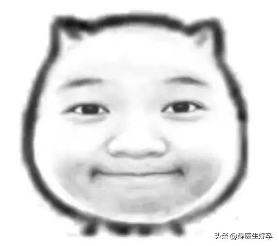 静医生团队调理怀孕可靠吗,静医备孕指导