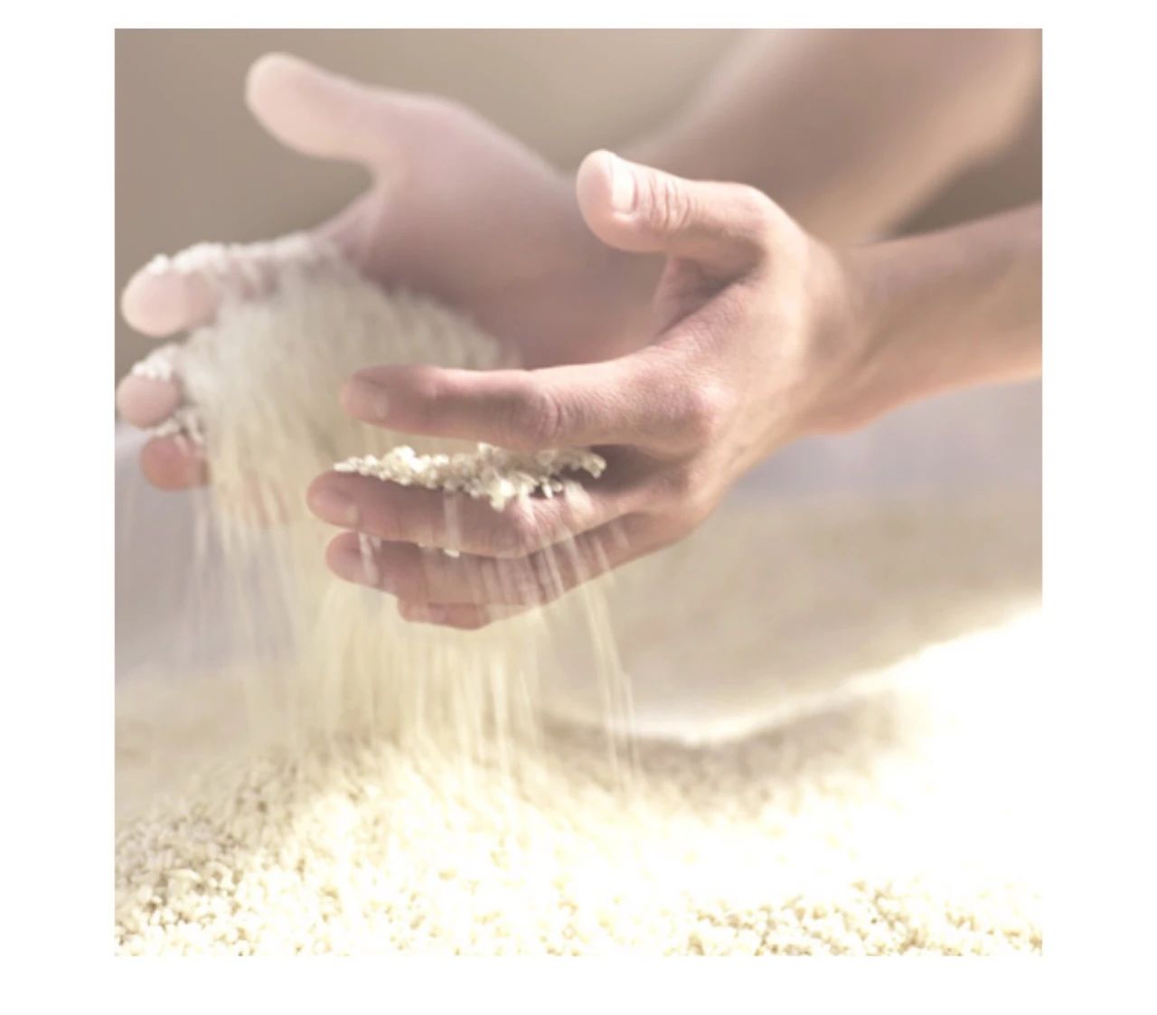 skii神仙水适合什么肤质,SK-II神仙水测评