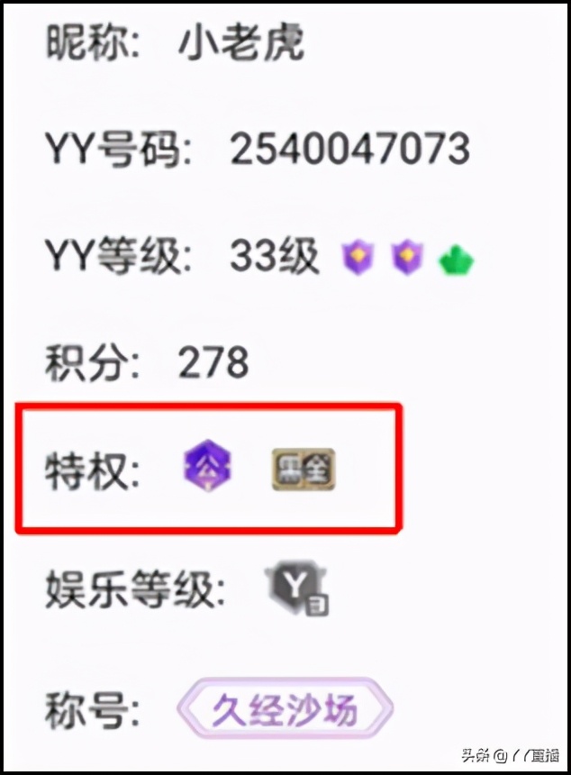 赵小磊阿哲玄律,赵小磊玄律