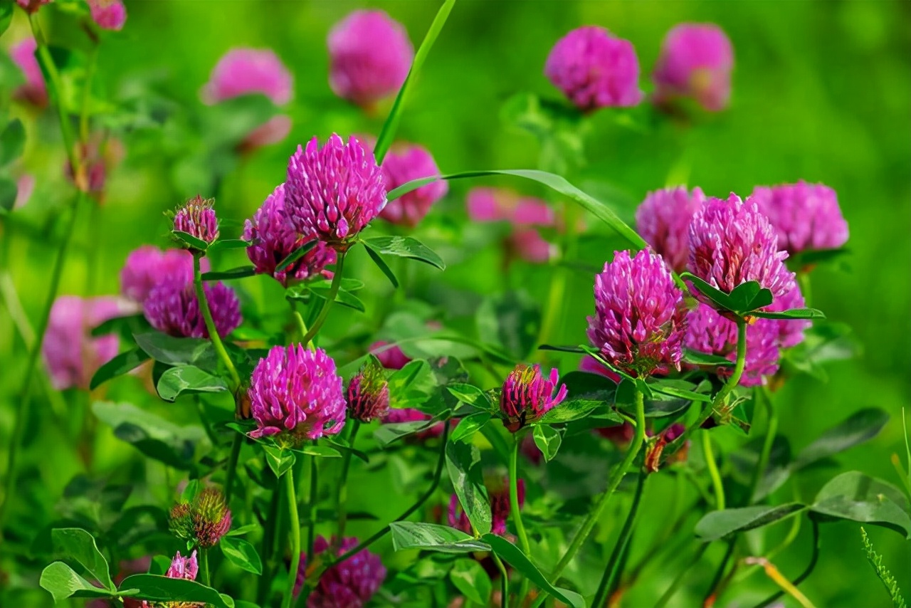 短短几句话的无奈与心酸,短短几句话让心情豁然开朗