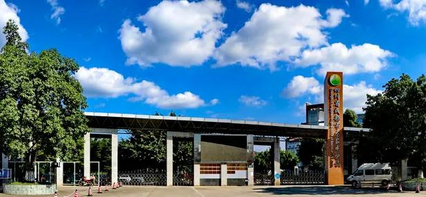 公办小学初中全面开花,龙泉的高中整体实力到底如何?