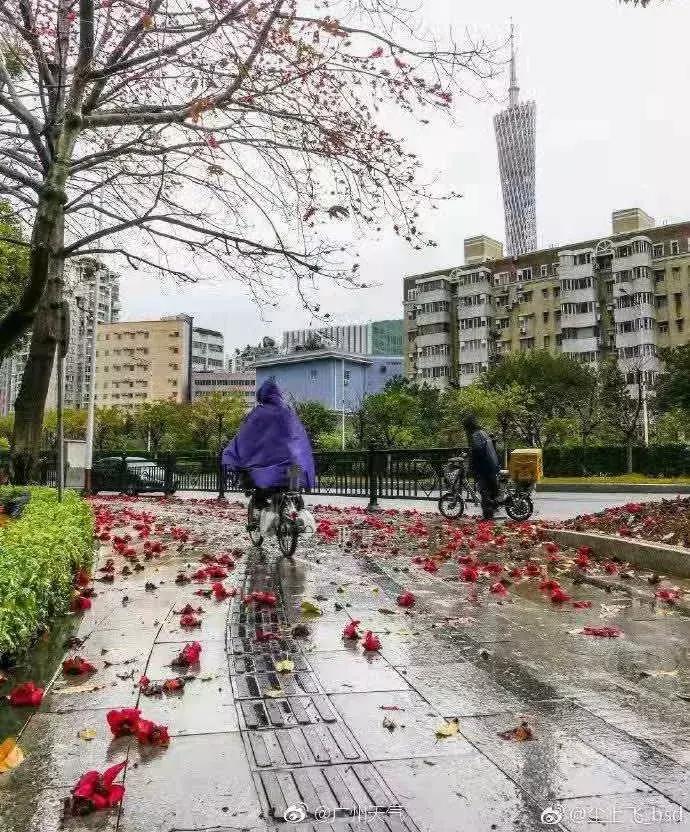 今天广州刮台风了吗,广州突降大雨是不是要有台风了