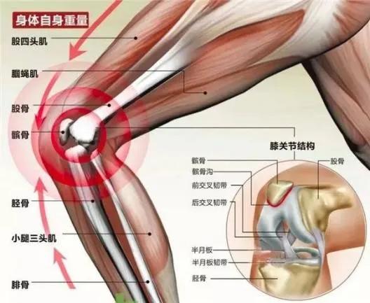 赵辉医生最新视频,中医院赵辉视频
