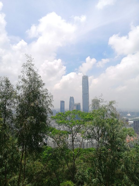 东莞旗峰公园掠影,东莞旗峰公园大体俯视图片